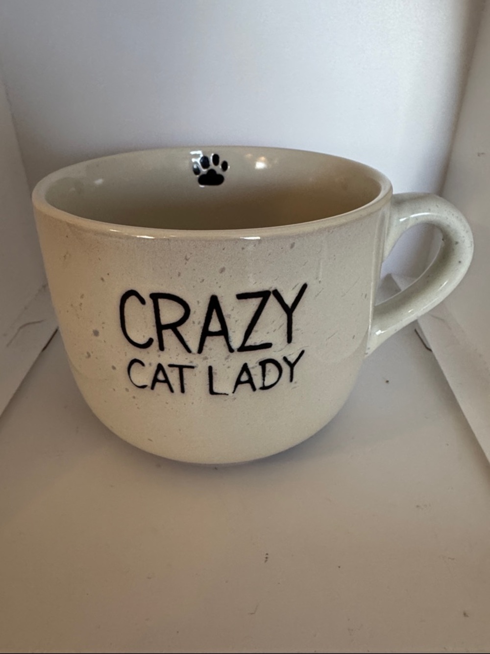 Crazy Cat Lady Cream Ceramic Pet Cat Mug by Spectrum